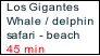 Los Gigantes
Whale / delphin
safari - beach
45 min